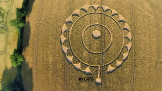 Illustration for article titled The Most Astonishing Crop Circle Artworks of 2014